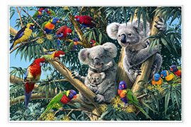 Poster  Koala Outback - Suchbild - Steve Read