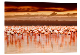 Acrylglasbild  Flamingos im Abendrot
