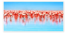 Poster  Flamingos im See Nakuru