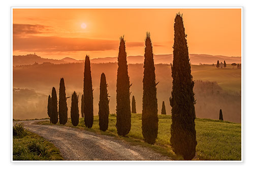 Poster Golden Morning - Toskana, Italien (im Hintergrund die bekannte Cappella di Vitaleta)