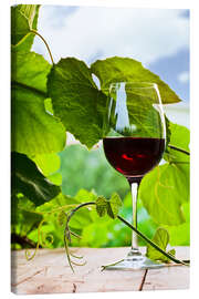 Leinwandbild  Glas mit Rotwein im Weinberg