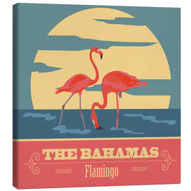 Leinwandbild  Bahamas - Flamingos