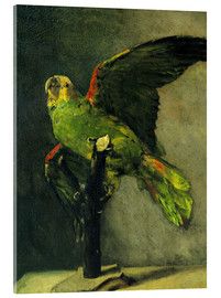 Acrylglasbild  Der grüne Papagei - Vincent van Gogh