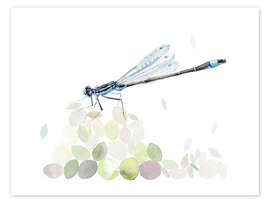 Poster  Libelle beim Nestbau - Verbrugge Watercolor