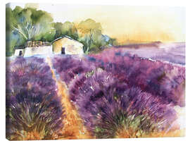 Leinwandbild  Lavendelfeld in der Provence - Eckard Funck