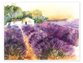 Poster Lavendelfeld in der Provence