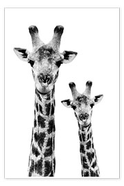 Poster Giraffenmutter mit Kind