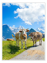 Poster Kühe auf der Alm