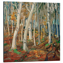 Alubild  Maple Woods, Bare Trunks - Tom Thomson