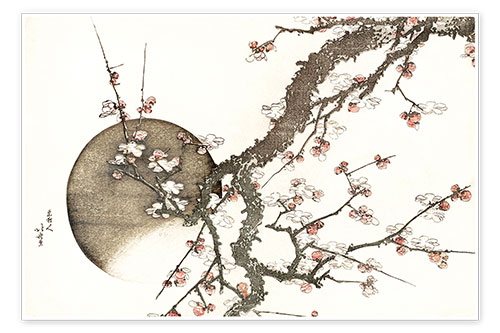 Poster Pflaumenblüte und der Mond