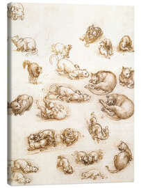 Leinwandbild  Studienblatt mit Katzen, Drachen und anderen Tieren - Leonardo da Vinci