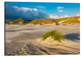Alubild  Dünen auf der Insel Amrum, Nordsee
