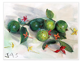 Poster  Guave und Ixora Stillleben - Jonathan Guy-Gladding