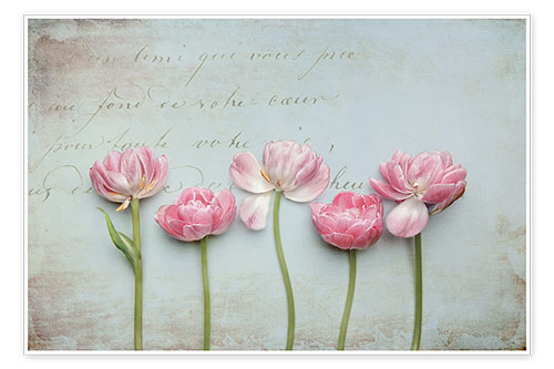 Poster Vintage Tulips