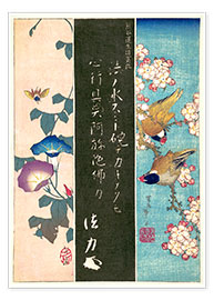 Poster Vogel und Blume