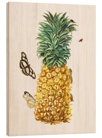 Holzbild  Ananas - Maria Sibylla Merian