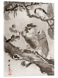 Acrylglasbild  Eule, die von kleinen Vögeln verspottet wird - Kawanabe Kyosai