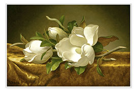 Poster Magnolien auf goldenem Samttuch