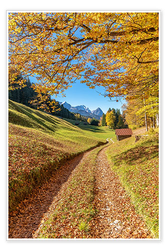 Poster Goldener Herbst mit Blick auf die Zugspitze