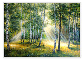 Poster Sonnenlicht im grünen Wald