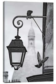 Leinwandbild  Montmartre-Tauben mit Sacre Coeur