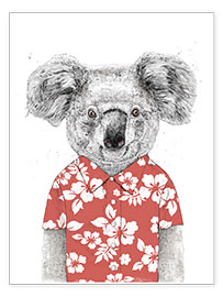 Poster  Koalabär mit Hawaiihemd - Balazs Solti
