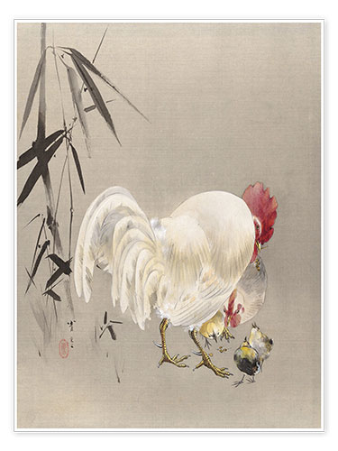 Poster Hahn und Henne mit Küken