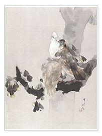 Poster  Tauben in einem Baum - Watanabe Seitei