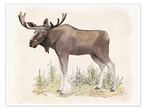 Poster Tiere der Wildnis - Elch