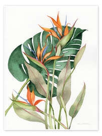 Poster Botanische Paradiesvögel
