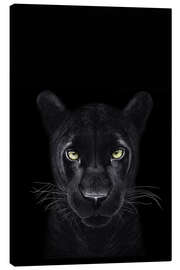 Leinwandbild  Schwarzer Panther auf schwarzem Grund II - Valeriya Korenkova