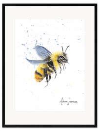 Gerahmter Kunstdruck  Sonnenbiene - Ashvin Harrison