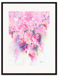 Gerahmter Kunstdruck  Kirschblüten - Rachel McNaughton