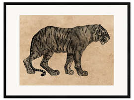 Gerahmter Kunstdruck  Der Tiger - Vintage Educational Collection